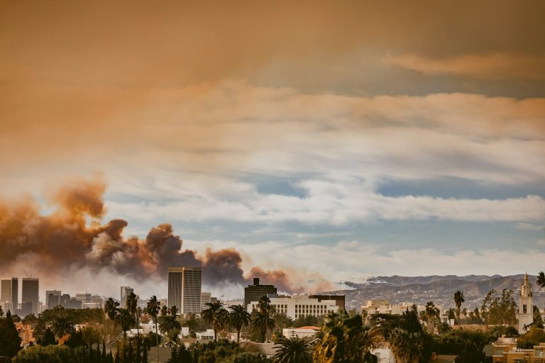 fire outbreak - seasonal insights article thumbnail